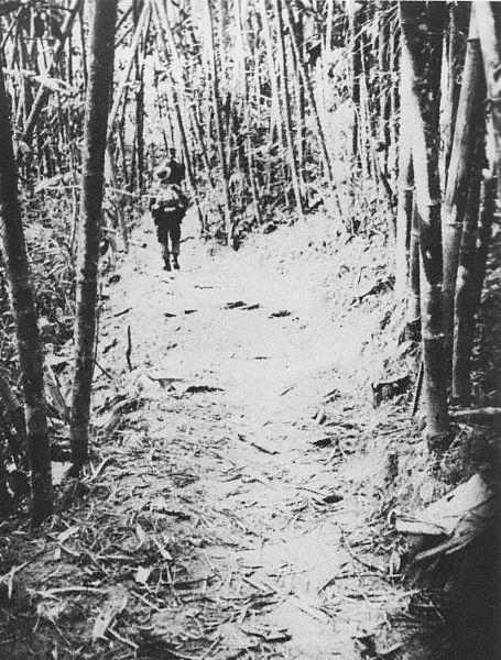 People's Army of Vietnam Along Ho Chi Minh Trail, Vietnam War