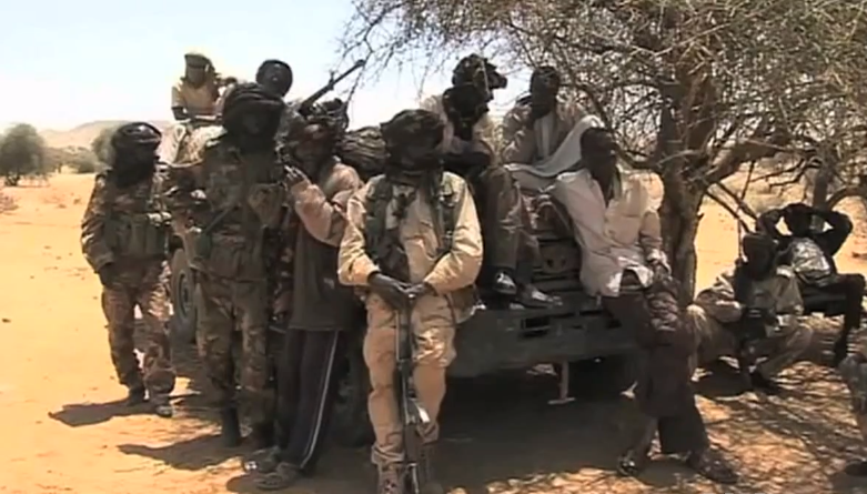 Pro-government (Janjaweed) Militia in Darfur, Sudan, March 2013