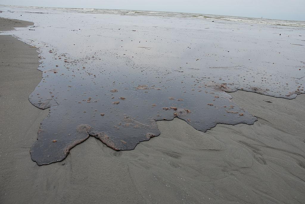 Thick Oil From Deepwater Horizon Disaster Washes Ashore