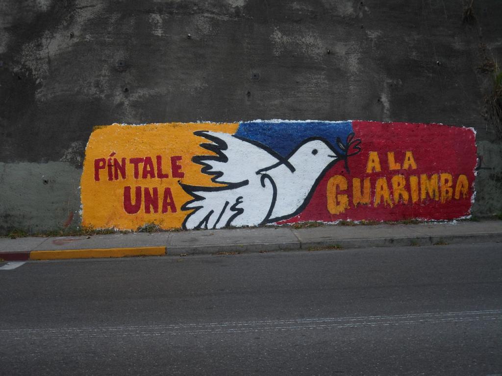 Anti-"Guarimbas" Graffiti; Venzuela, March, 2014