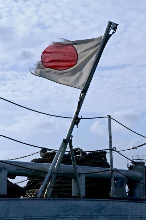 Tattered Japanese Flag