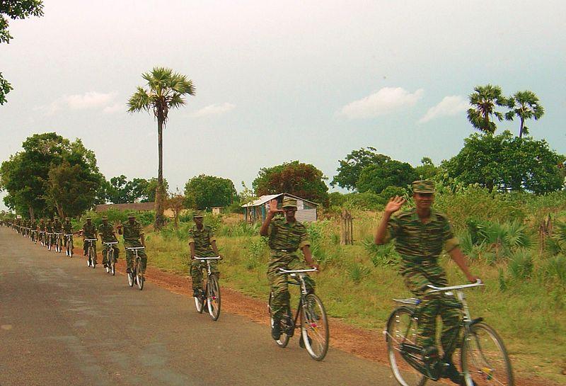 Bicycle Tiger Platoon