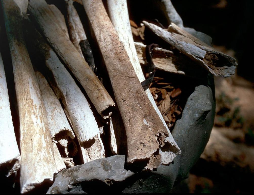 Remains of Victims of Khmer Rouge Killing Fields