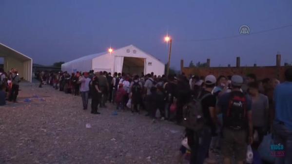 Middle Eastern Refugees in Gevgelija Camp; Macedonia, Sept 2015